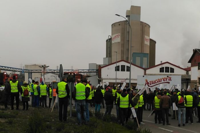 Productores de remolacha advierten de que la bajada del precio "hace imposible el cultivo"