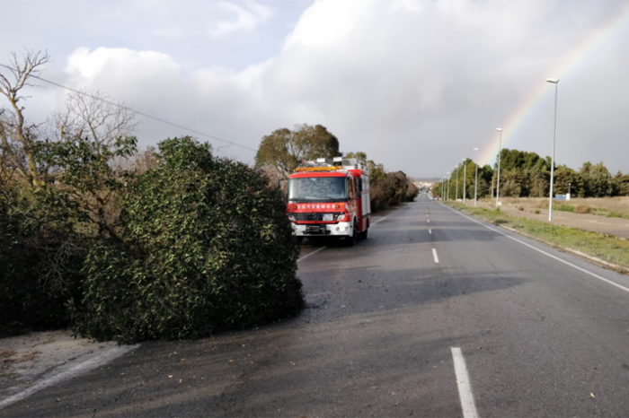 El fuerte viento provoca daños en Logroño y en otros puntos de la comunidad
