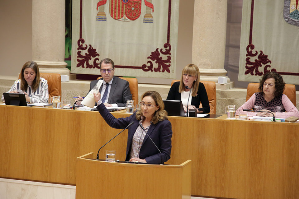 La consejera de Salud interviene en el pleno parlamentario para debatir sobre la situación de Atención Primaria. / Clara Larrea