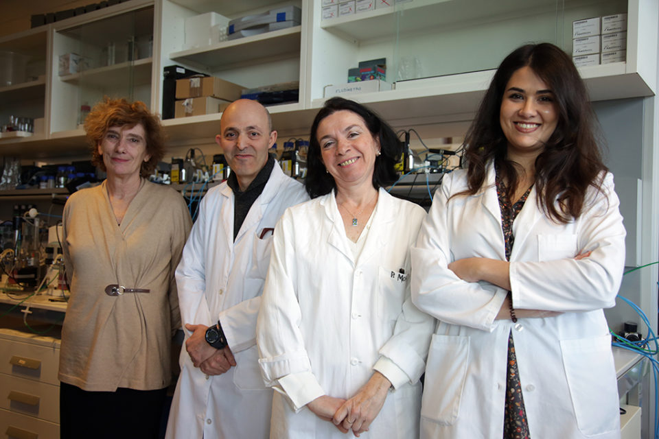 El trabajo es fruto de los estudios de investigadores del ICVV y de la tesis de Alda João Sousa Rodrigues (derecha). / Clara Larrea