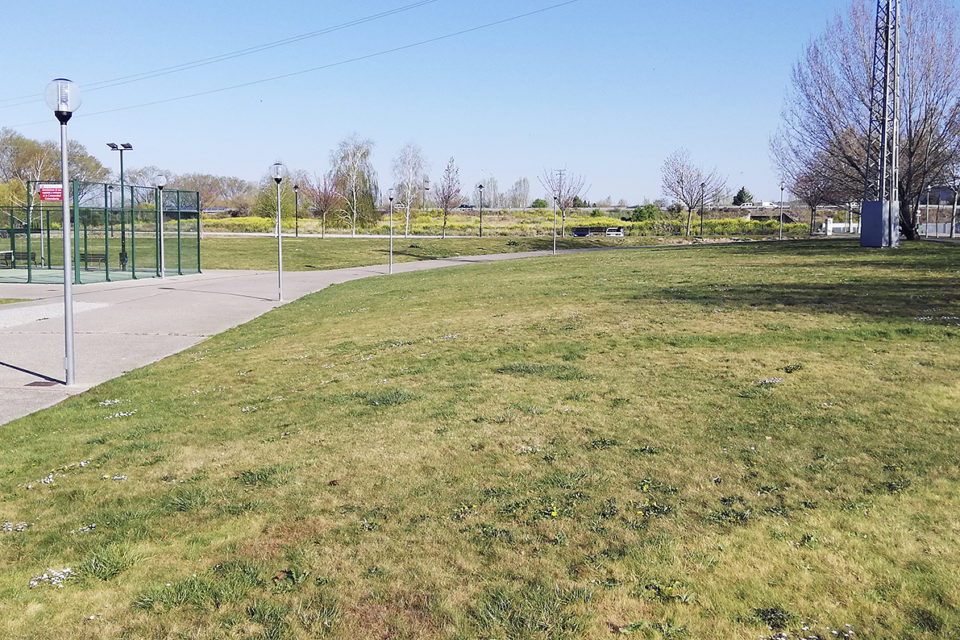 Zona próxima al campus donde se produjeron los hechos. /NR