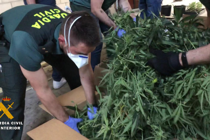 Desmantelado en una nave industrial de Haro el mayor laboratorio de marihuana de La Rioja