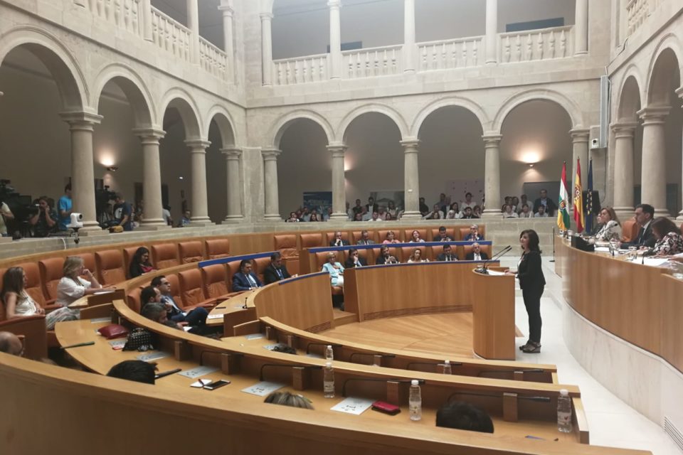 Andreu, durante su intervención en la primera sesión del pleno de investidura. / NR