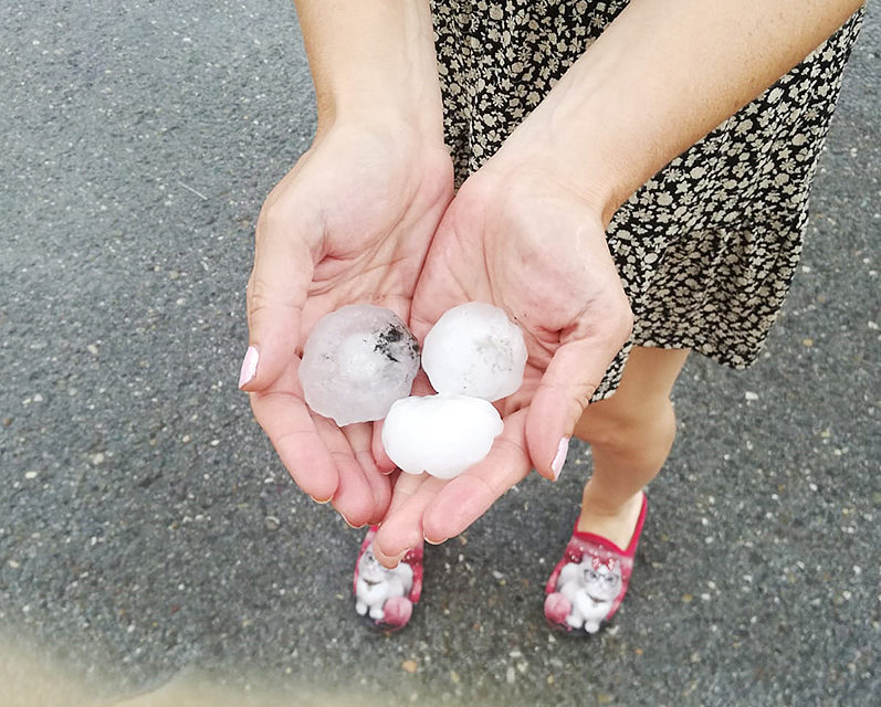 Bolas de granizo recogidas en Santa Eulalia Bajera. / Maite Moreno