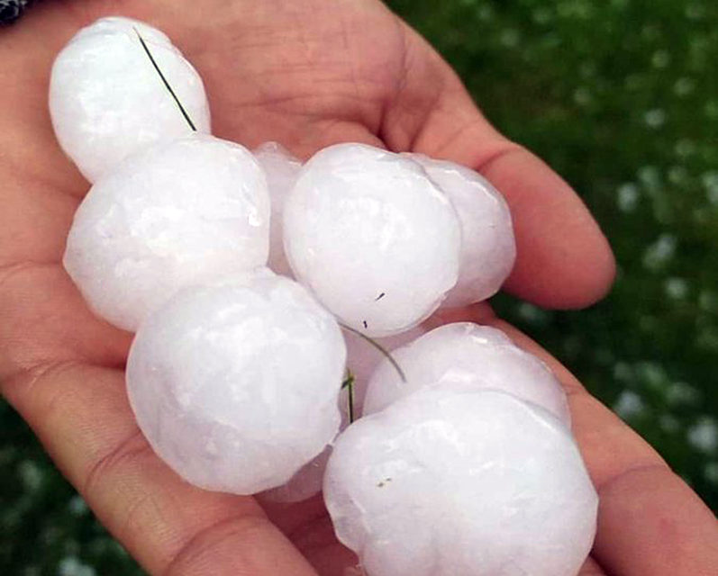 Granizos de gran tamaño recogidos el lunes en Ventosa. / SOS Rioja