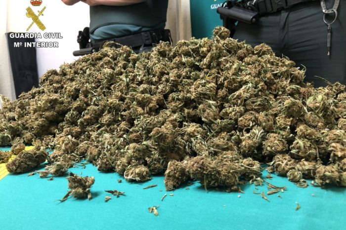 Detenido un joven en el peaje de Lardero que transportaba un kilo de cogollos de marihuana