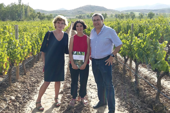 Una tesis constata que la uva garnacha blanca pierde color por una mutación