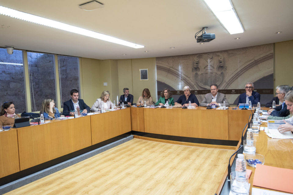 El consejero de Educación comparece en el Parlamento autonómico. / NR