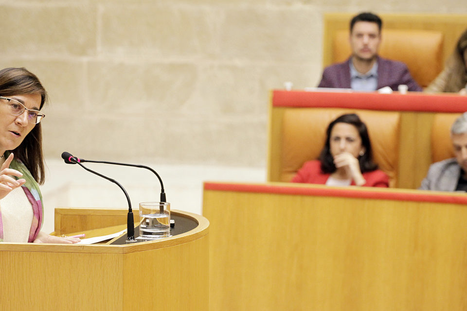 La consejera de Salud, Sara Alba, durante su intervención en el pleno parlamentario. / Ingrid