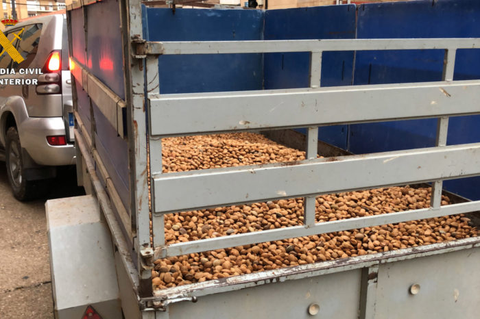 Detenido por robar más de 12 toneladas de almendra en La Rioja Baja