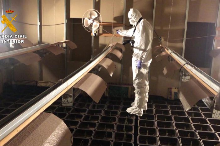 Desmantelado en Logroño un laboratorio tipo 'indoor' de producción de marihuana a gran escala