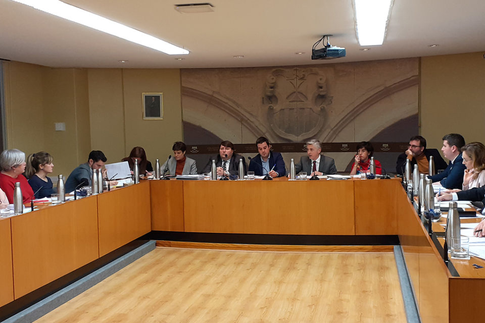 El consejero informa en el Parlamento de los detalles del presupuesto que gestionará en 2020. / NR