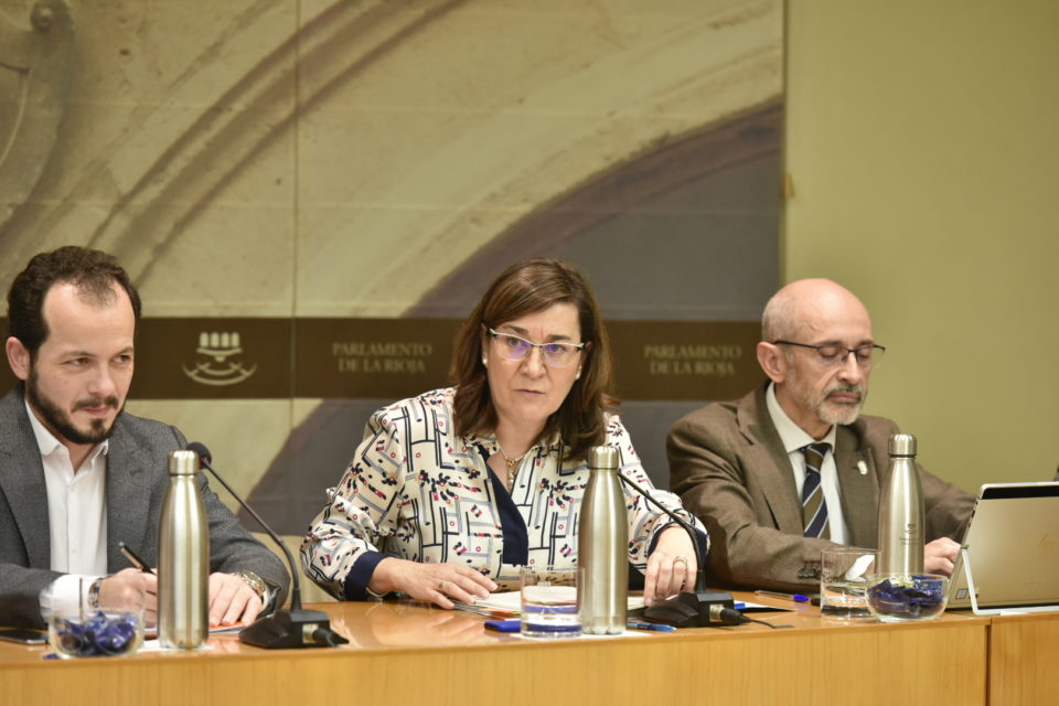 La consejera de Salud, Sara Alba, comparece en el Parlamento para detallar el presupuesto que gestionará en 2020. / NR