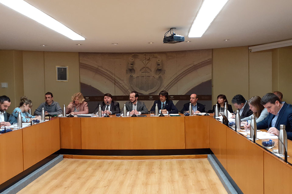 José Luis Rubio comparece en el Parlamento para detallar el presupuesto de su Consejería. / NR