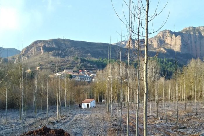 La reparación de una tubería en Bobadilla mejora el suministro y calidad del agua