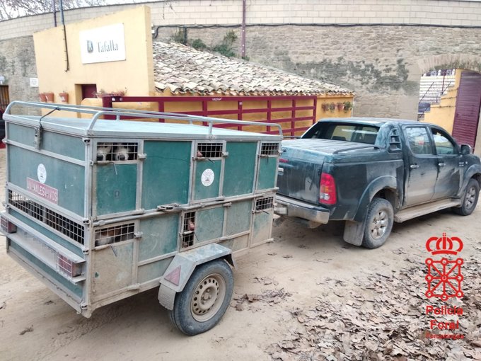Remolque en el que el cazador denunciado transportaba 23 perros hacinados. / Policía Foral