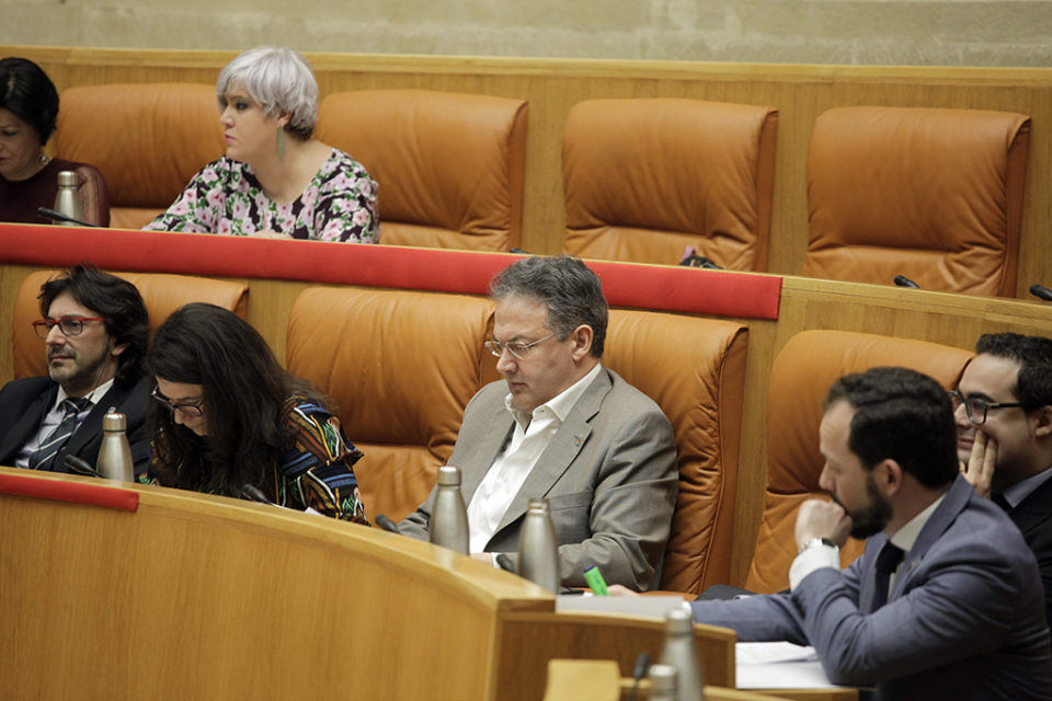 Luis Cacho, en el centro de la imagen con traje gris, durante la sesión plenaria de este jueves. / Ingrid