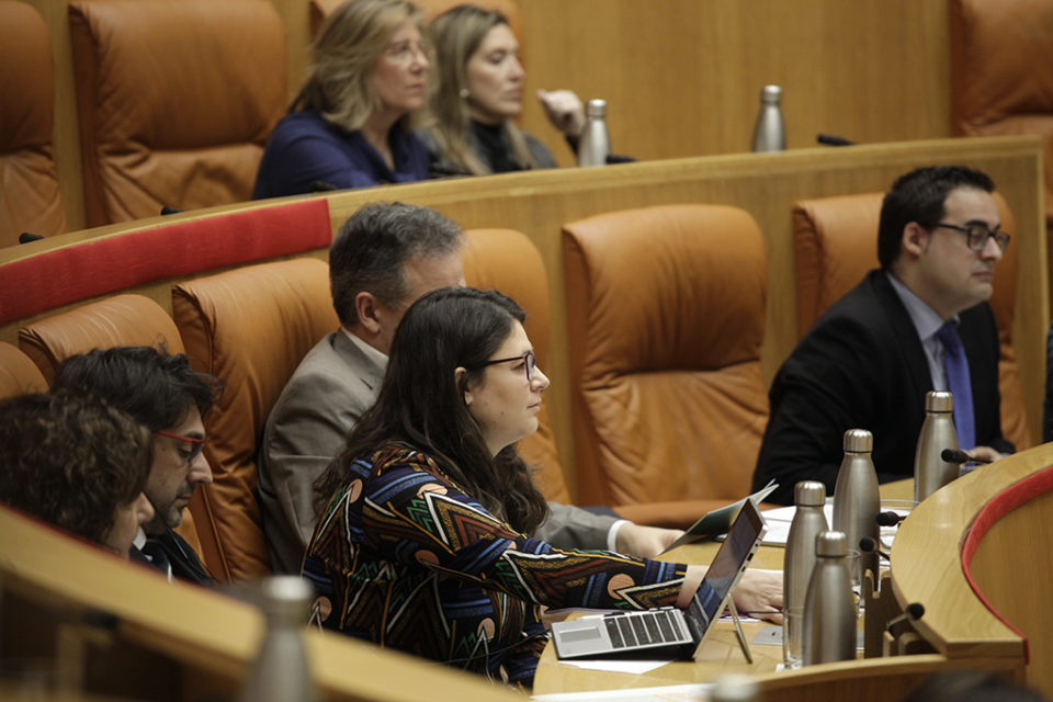 La consejera de Participación, Raquel Romero, en el pleno de este jueves. / Ingrid