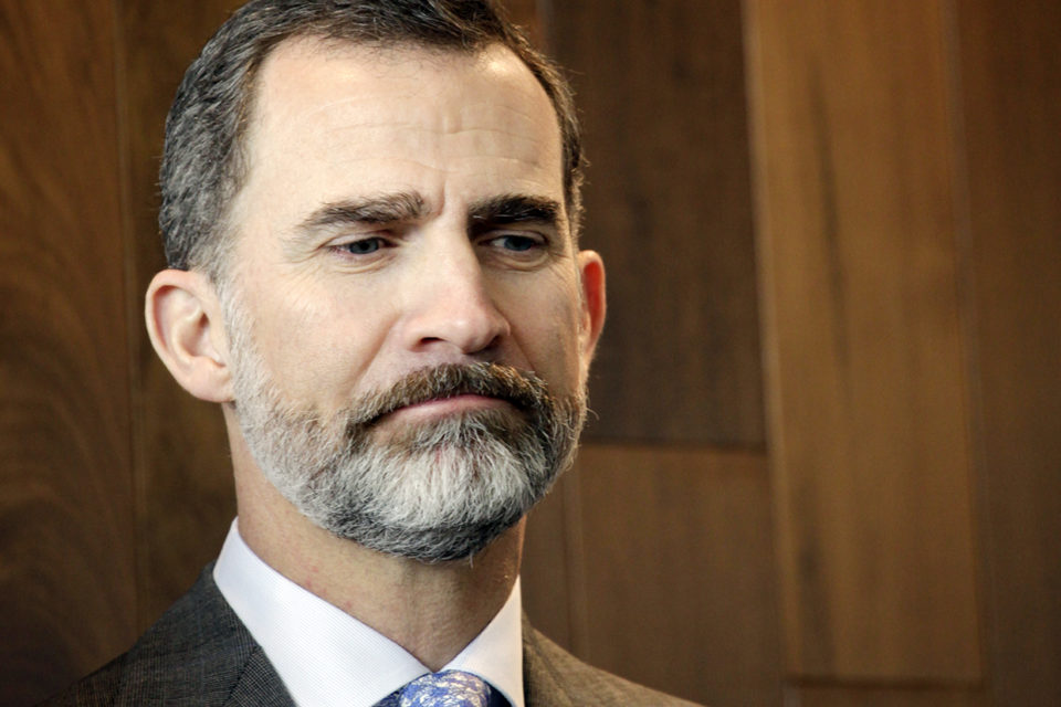 El Rey Felipe VI. / Ingrid