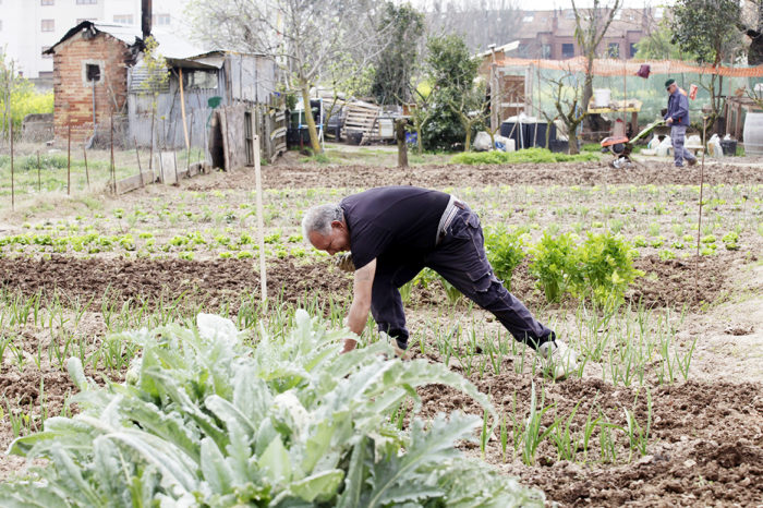 La Delegación del Gobierno recuerda la prohibición de acudir a las huertas particulares