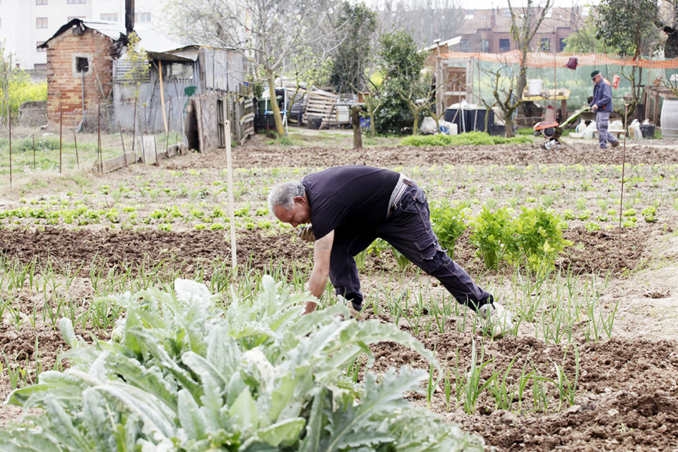 El desplazamiento a los huertos para autoconsumo se permitirá dos veces por semana. / Ingrid