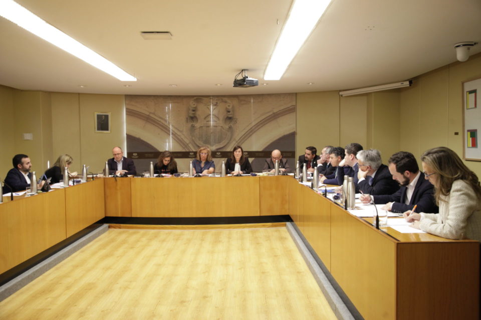 La consejera de Salud, Sara Alba, detalla en el Parlamento las últimas medidas sobre el coronavirus. / Ingrid