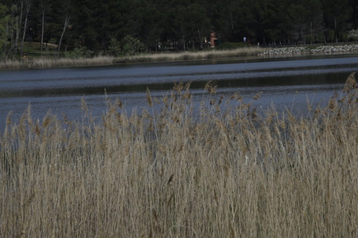 No es un barrio, es un pulmón