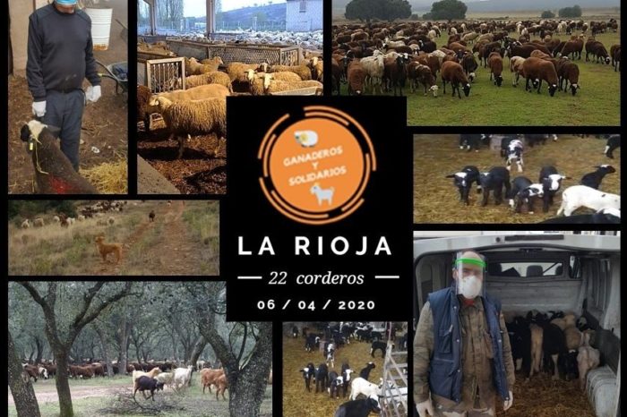Ganaderos riojanos donan carne de cordero a los más necesitados