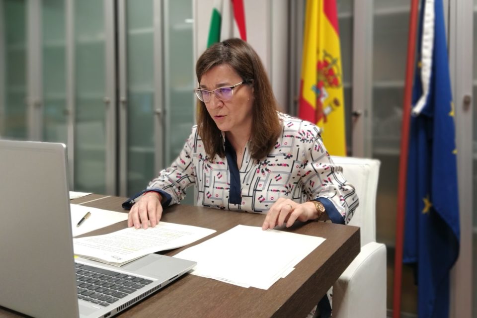 La consejera de Salud, Sara Alba, comparece en Parlamento vía telemática. / NR