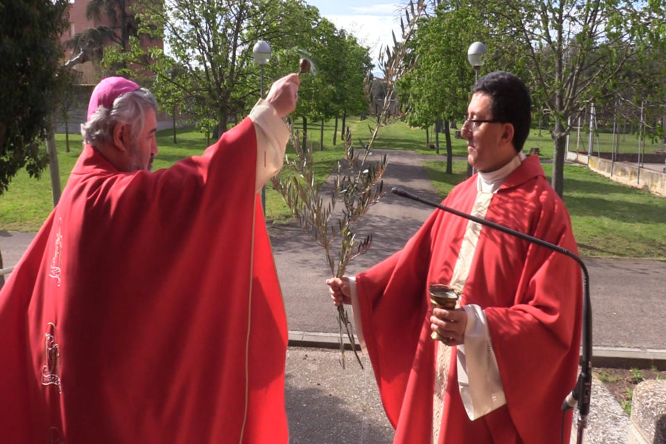 El obispo de la Diócesis riojana, durante una atípica celebración del Domingo de Ramos. /NR