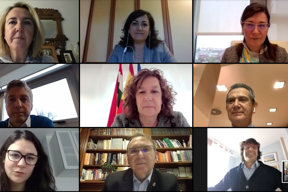 El Consejo de Gobierno se ha reunido de forma telemática este miércoles. / NR