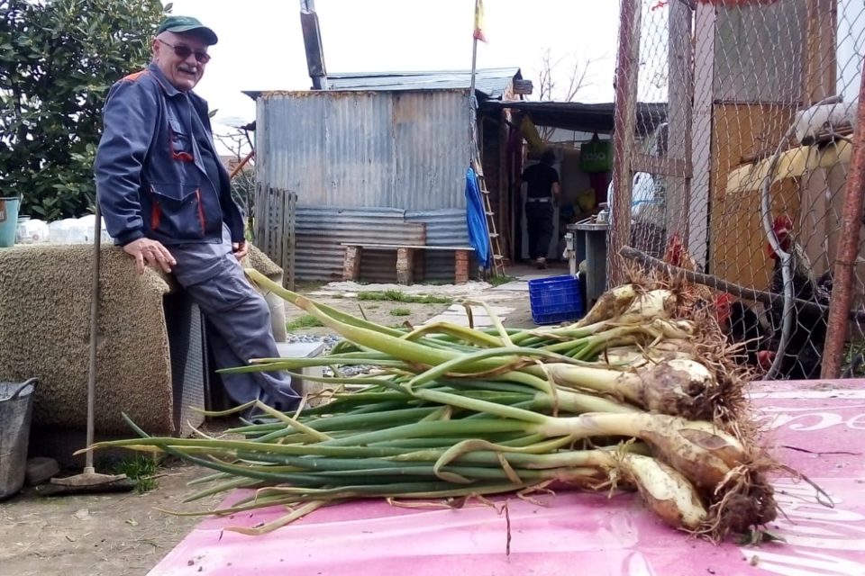 Stefan atiende a las gallinas en una huerta logroñesa. / NR