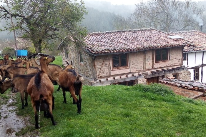 Menosprecio de corte, alabanza de aldea